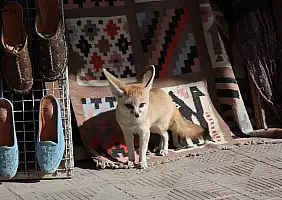 turistipercaso tunisia-w8q1w