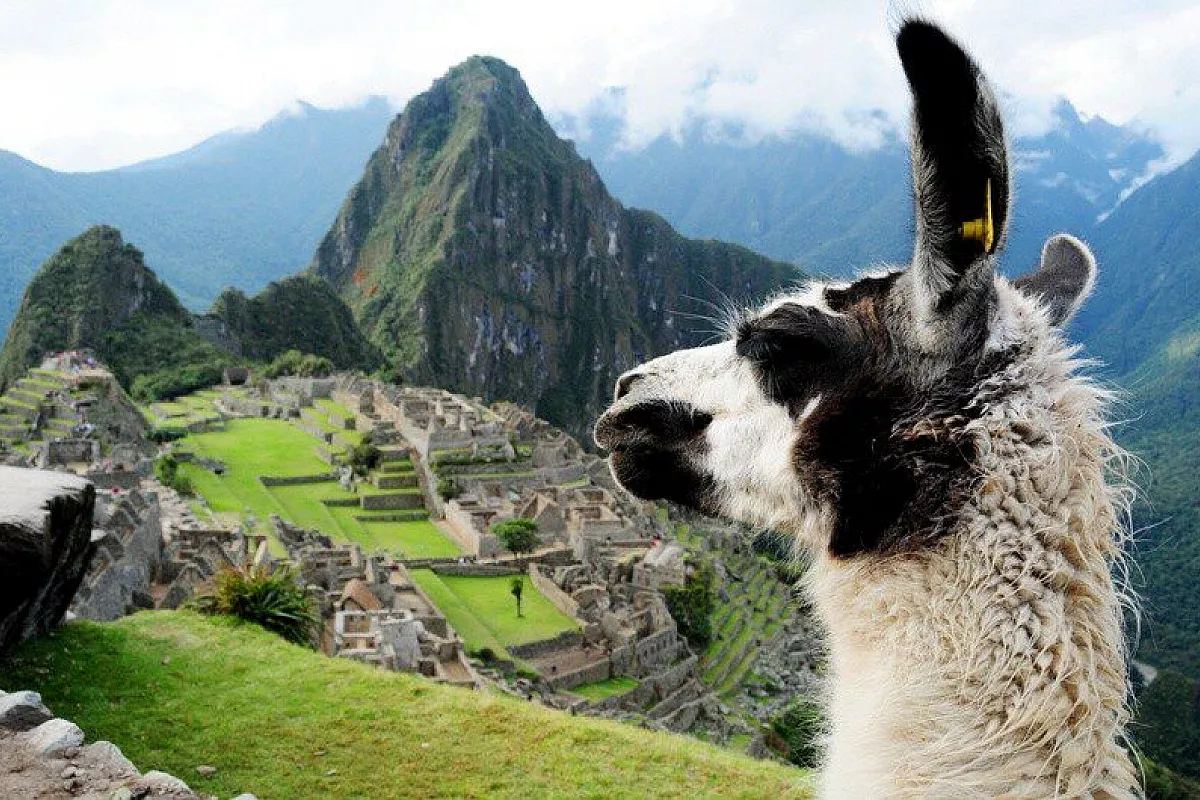 Machu Picchu