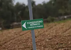turistipercaso turismo-sostenibile-3unet