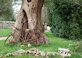 turistipercaso turismo-sostenibile-ctkzf