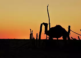 turistipercaso turkmenistan-y6ku4