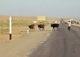 turistipercaso turkmenistan-zyw9e