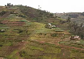 turistipercaso uganda-4crbz