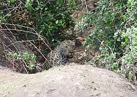 turistipercaso uganda-4x7aw