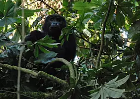 turistipercaso uganda-6awsh