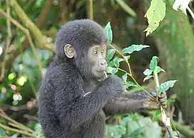turistipercaso uganda-6m7gn