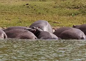 turistipercaso uganda-77k7a