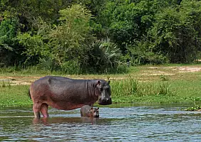 turistipercaso uganda-8qqyy