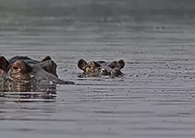 turistipercaso uganda-9rrgq