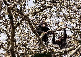 turistipercaso uganda-a9jy9
