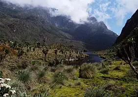 turistipercaso uganda-aa1vh