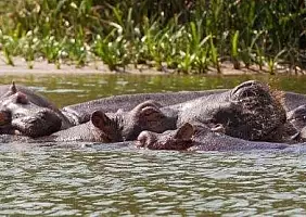 turistipercaso uganda-aerb8