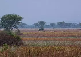 turistipercaso uganda-ax93t