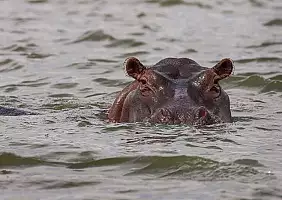 turistipercaso uganda-deuwr