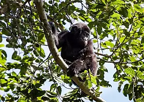 turistipercaso uganda-dsxmv
