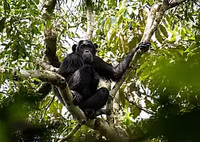 turistipercaso uganda-dtutm
