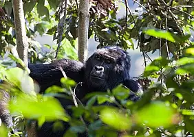 turistipercaso uganda-eu2ke