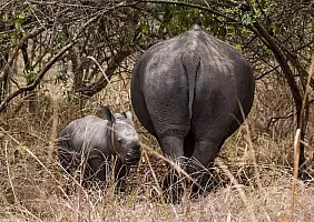 turistipercaso uganda-exfx4
