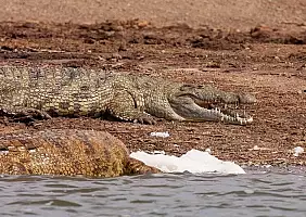 turistipercaso uganda-n7zk8