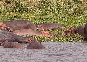 turistipercaso uganda-pgf3s