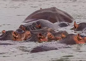 turistipercaso uganda-pk1qk