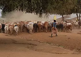 turistipercaso uganda-qtx1r