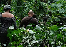 turistipercaso uganda-v4pzg