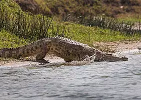 turistipercaso uganda-vbjjc