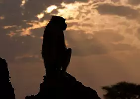 turistipercaso uganda-wb3nc