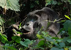 turistipercaso uganda-wtq2n