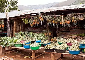 turistipercaso uganda-yfwrb