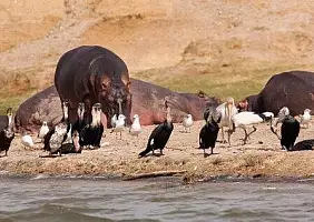 turistipercaso uganda-yg391