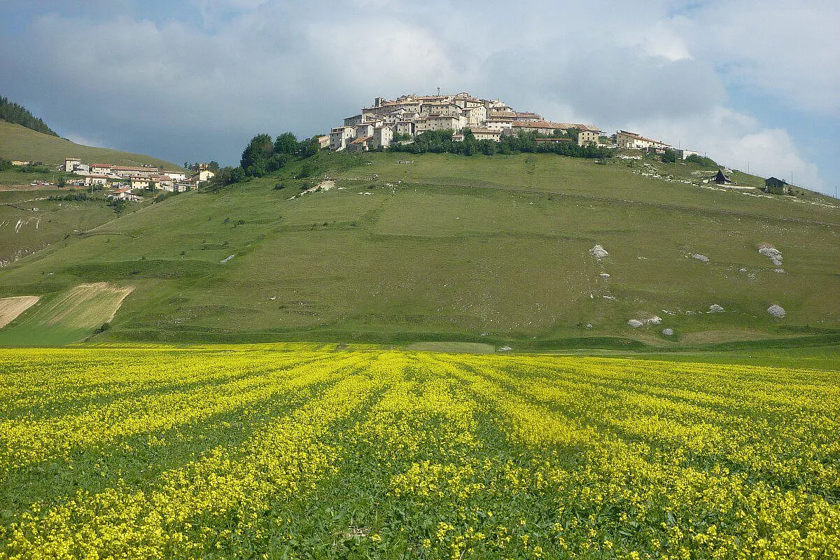 La fioritura delle lenticchie a Castelluccio di Norcia