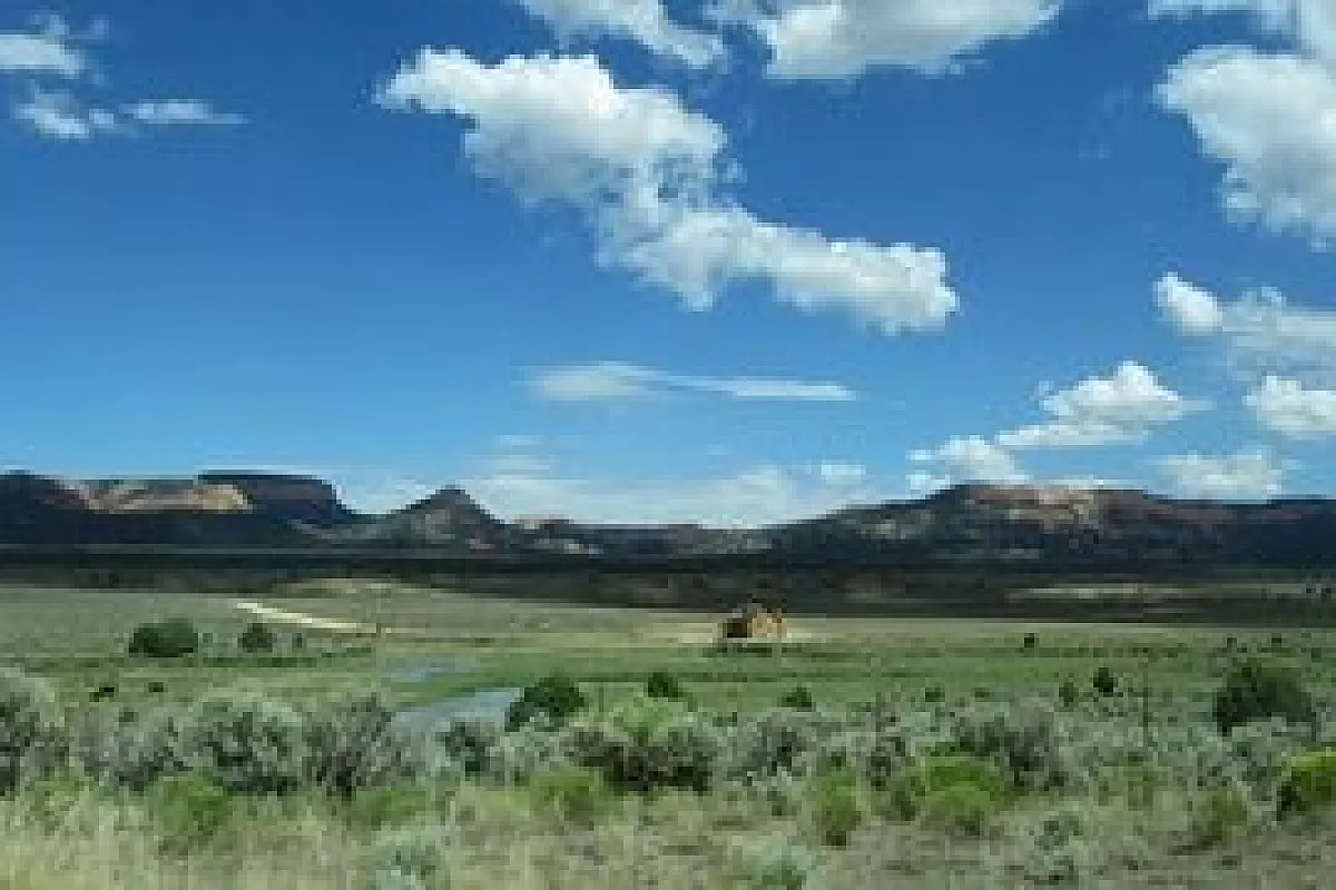 WEST USA 2010