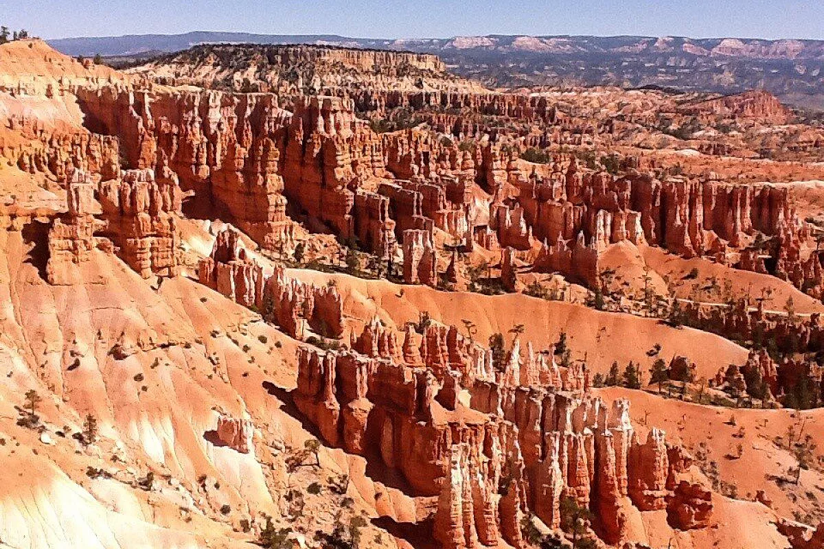 USA: da New York a San Francisco ai Parchi naturali dell'ovest a San Diego