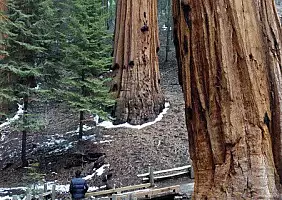 turistipercaso usa-west-coast-ak2cy
