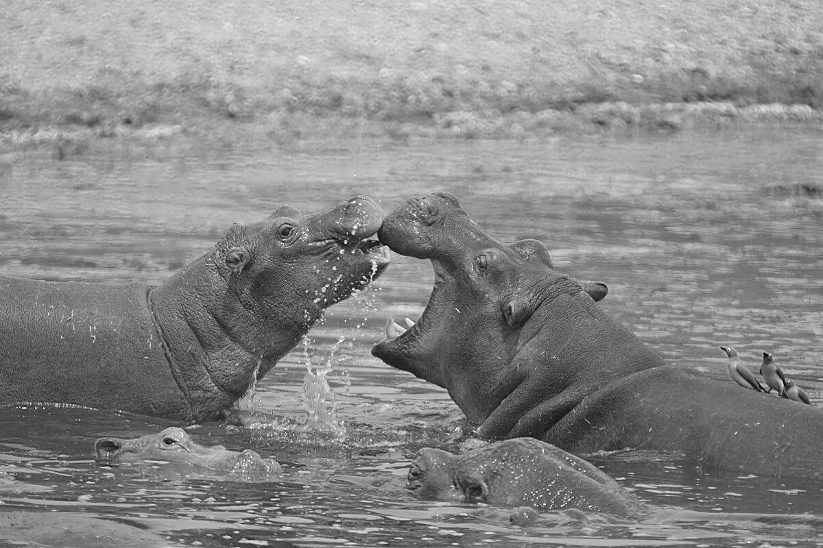 Tanzania: oltre lo sguardo del turista