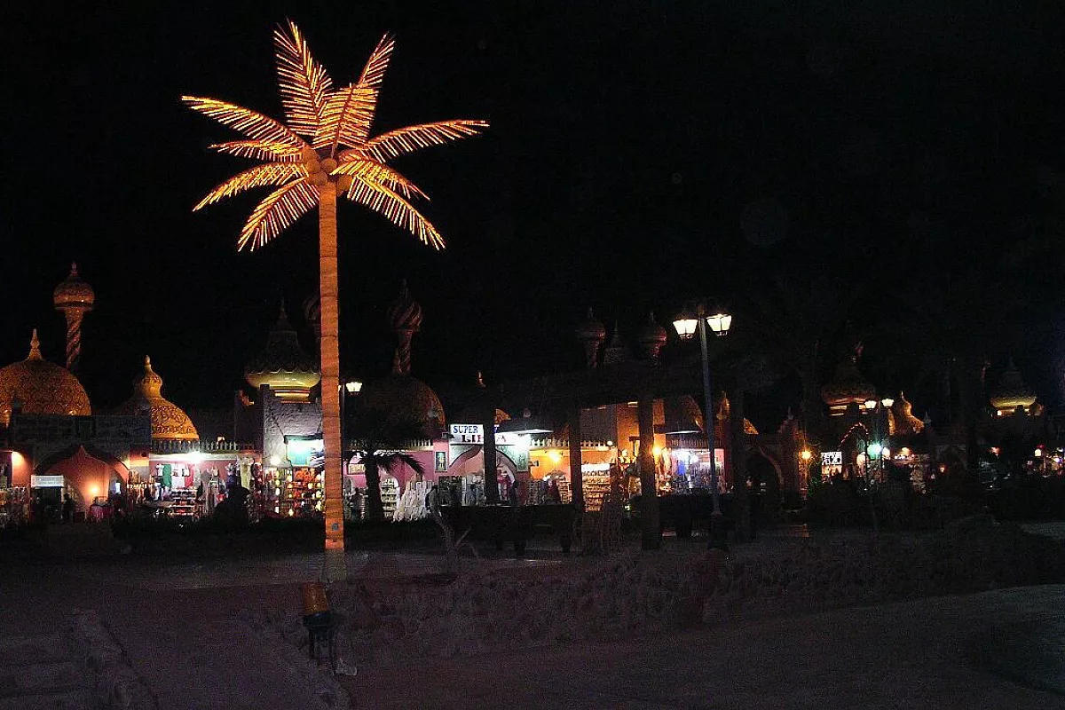 Marsa Alam, con i pesci Angelo
