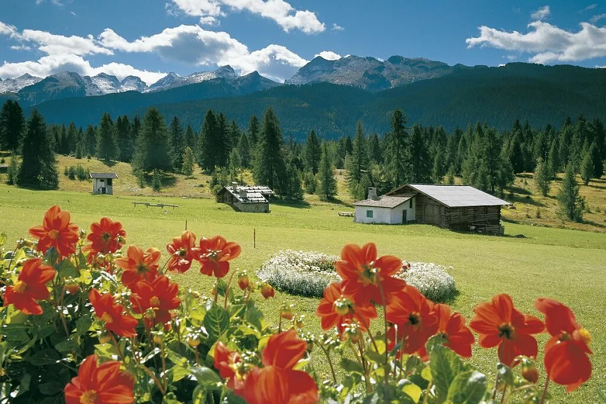 Vacanze senz’auto…