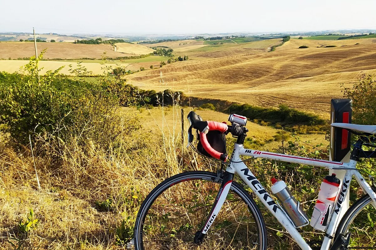La Val d'Orcia si veste di giallo