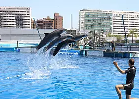 turistipercaso valencia-10-gmr4s