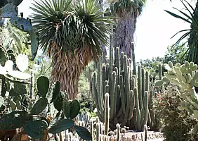 turistipercaso valencia-10-naww3