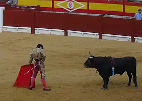turistipercaso valencia-1jwxh