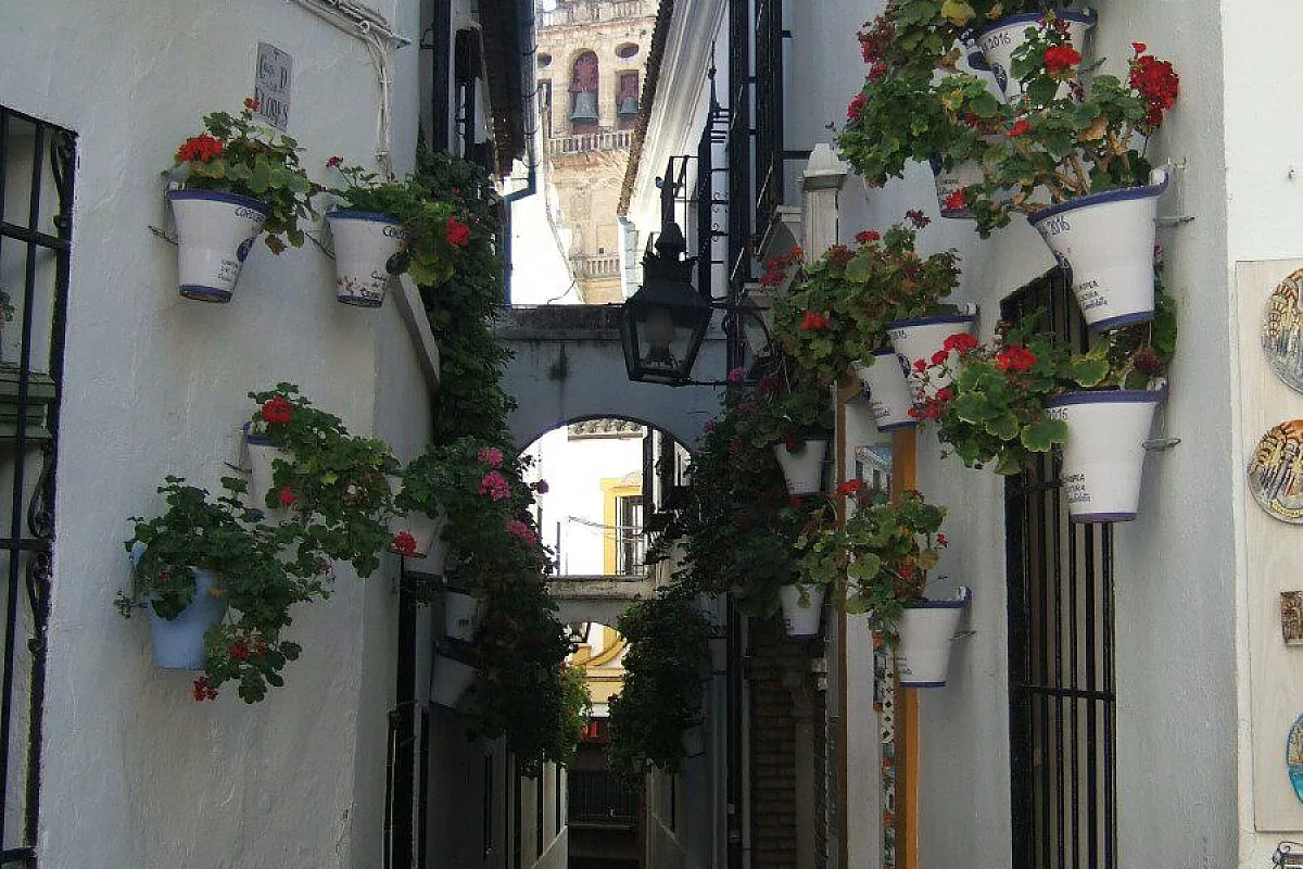 Cordoba, la Mezquita dal vicolo fiorito