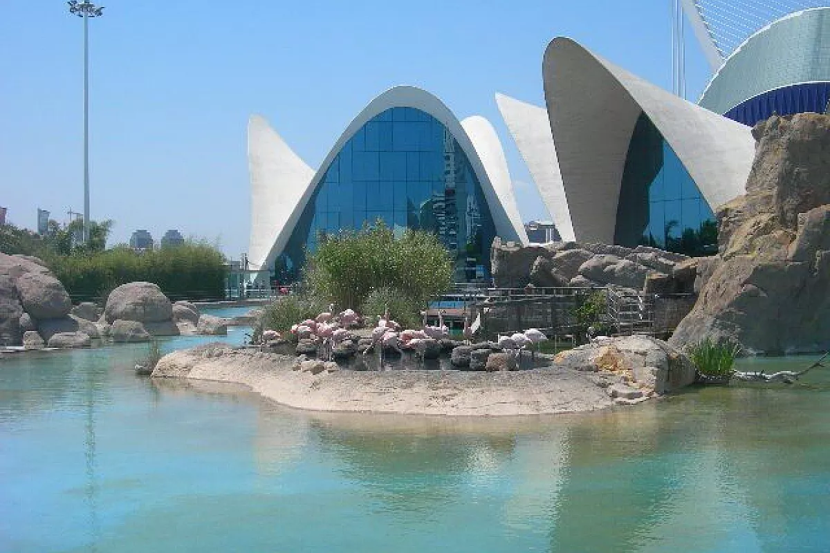 Acquario