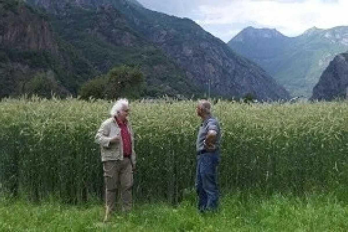 Patrizio a Donnas: il pane nero di segale