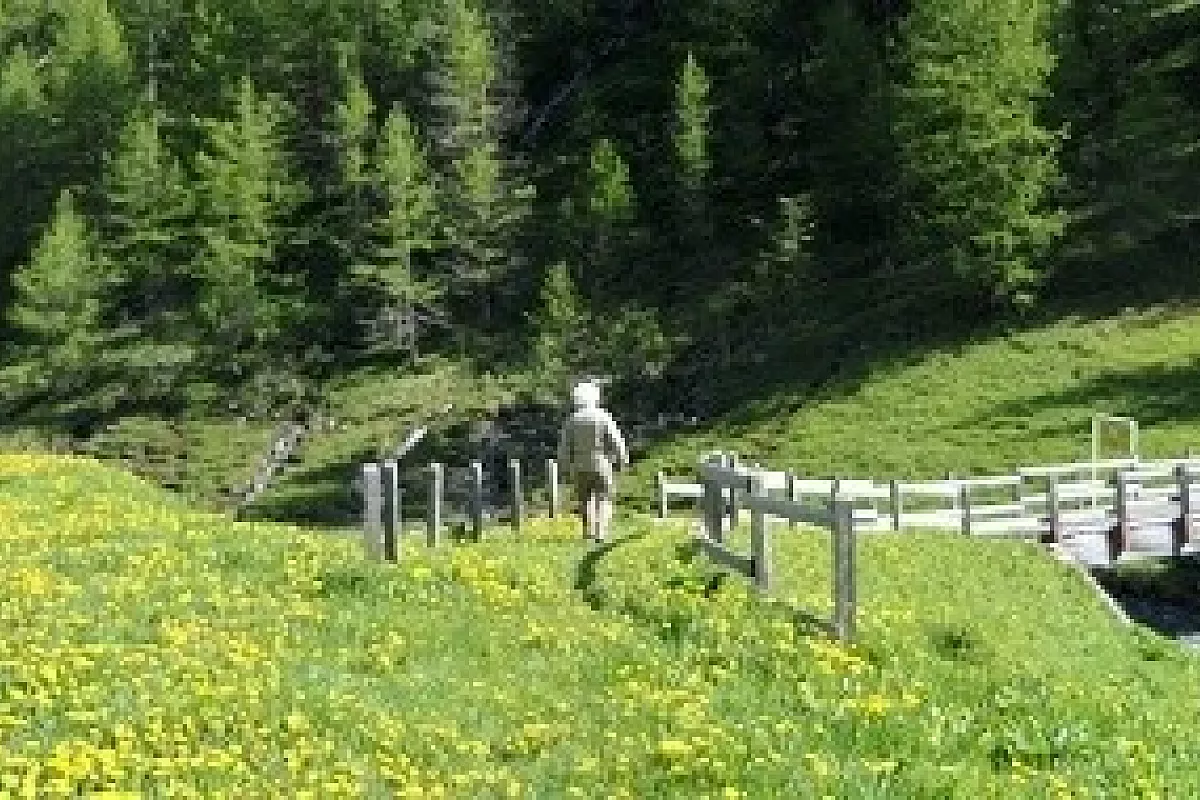 Patrizio nella valle del Gran San Bernardo