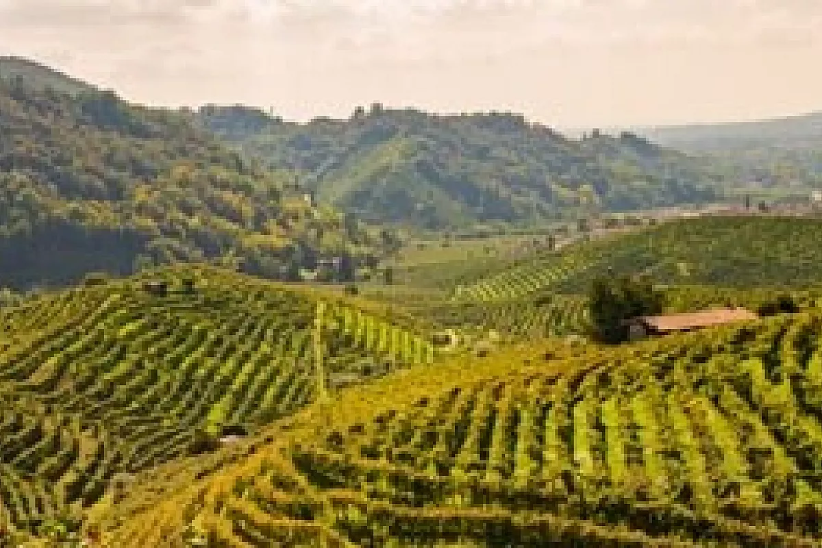 Le Colline del Prosecco di Conegliano e Valdobbiadene, scoprendo la bellezza UNESCO del Veneto
