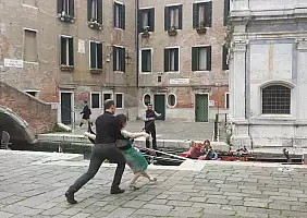 turistipercaso veneto-717yh