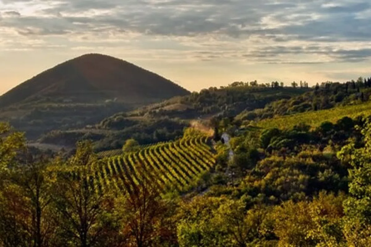 Una vacanza ai piedi dei Colli Euganei!